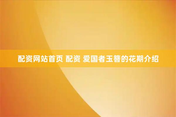 配资网站首页 配资 爱国者玉簪的花期介绍